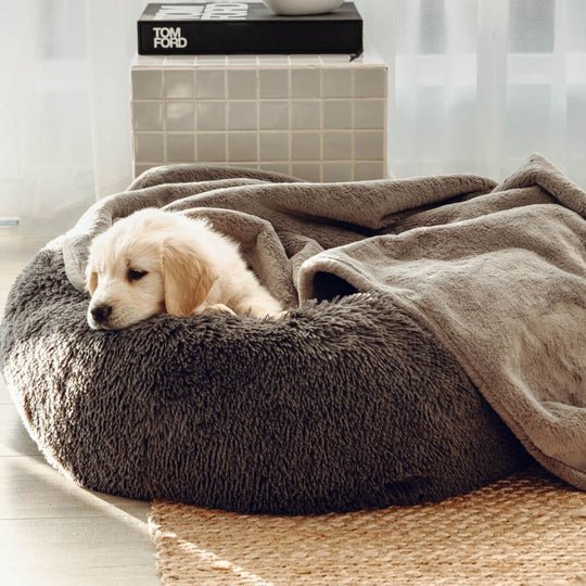Blankets-DoubleWeightedLuxuryBlanket4_540x_1_bb87c282-b40f-4d48-a5a8-e32f7a13b4ea.jpg