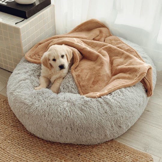 Blankets-DoubleWeightedLuxuryBlanket9_540x_0097542d-71bc-4204-a7ba-56d9ce8153cc.jpg