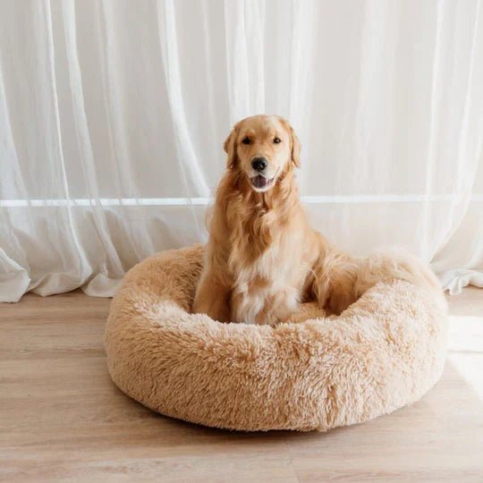 DogBeds-CalmingDogBed_Covers12_540x_a0753f2e-8da6-440e-a782-eea31785cd62.jpg