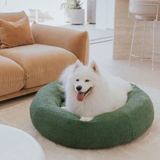 DogBeds-LuxuryBoucleDogBed_Covers1_540x_824635c0-b20c-455e-ad64-53e52b14bb59.jpg