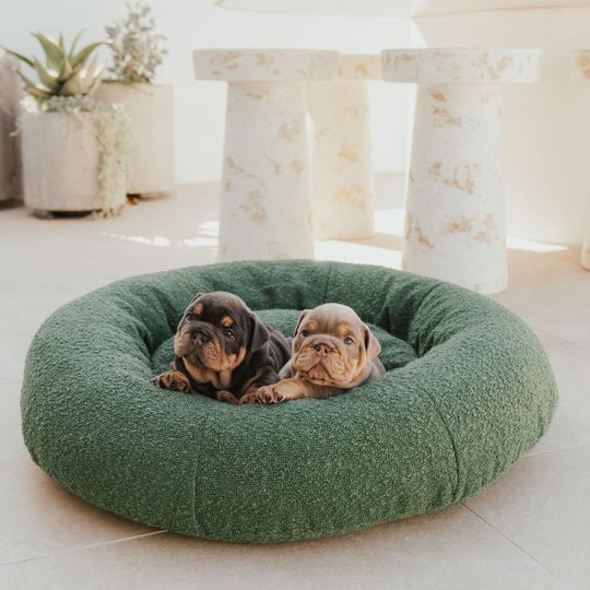 DogBeds-LuxuryBoucleDogBed_Covers7_540x_07e891f0-839c-4547-9f3c-fecd8bc25f2f.jpg