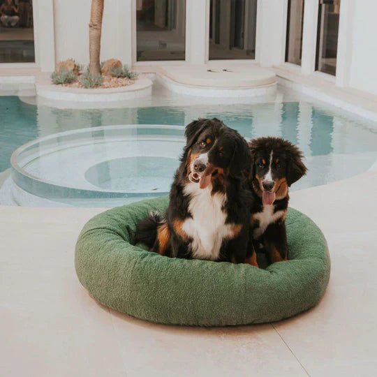 DogBeds-LuxuryBoucleDogBed_Covers9_c727f0e6-ab69-4eb8-a6b5-e33abaeab9ea_540x_1.jpg