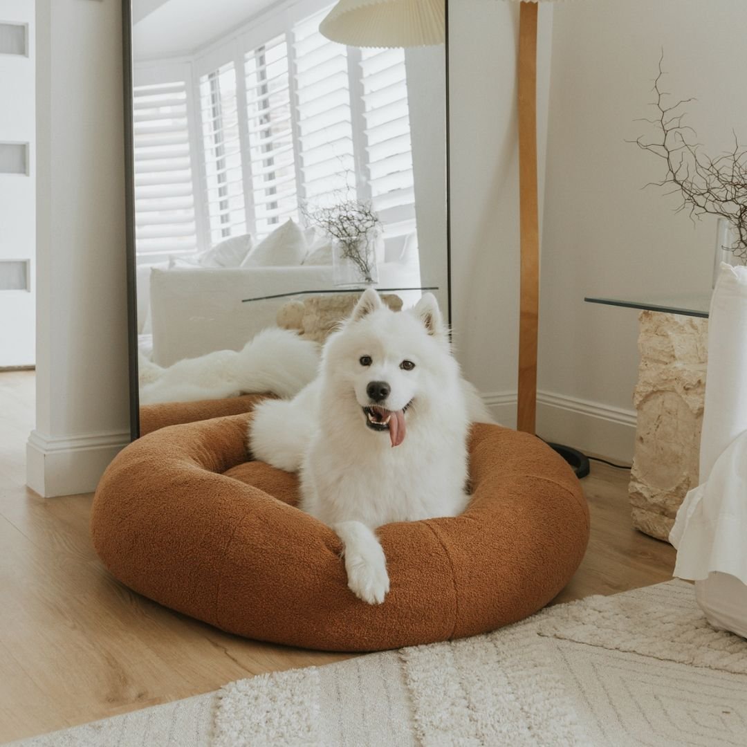 DogBeds-PremiumTeddy5.jpg