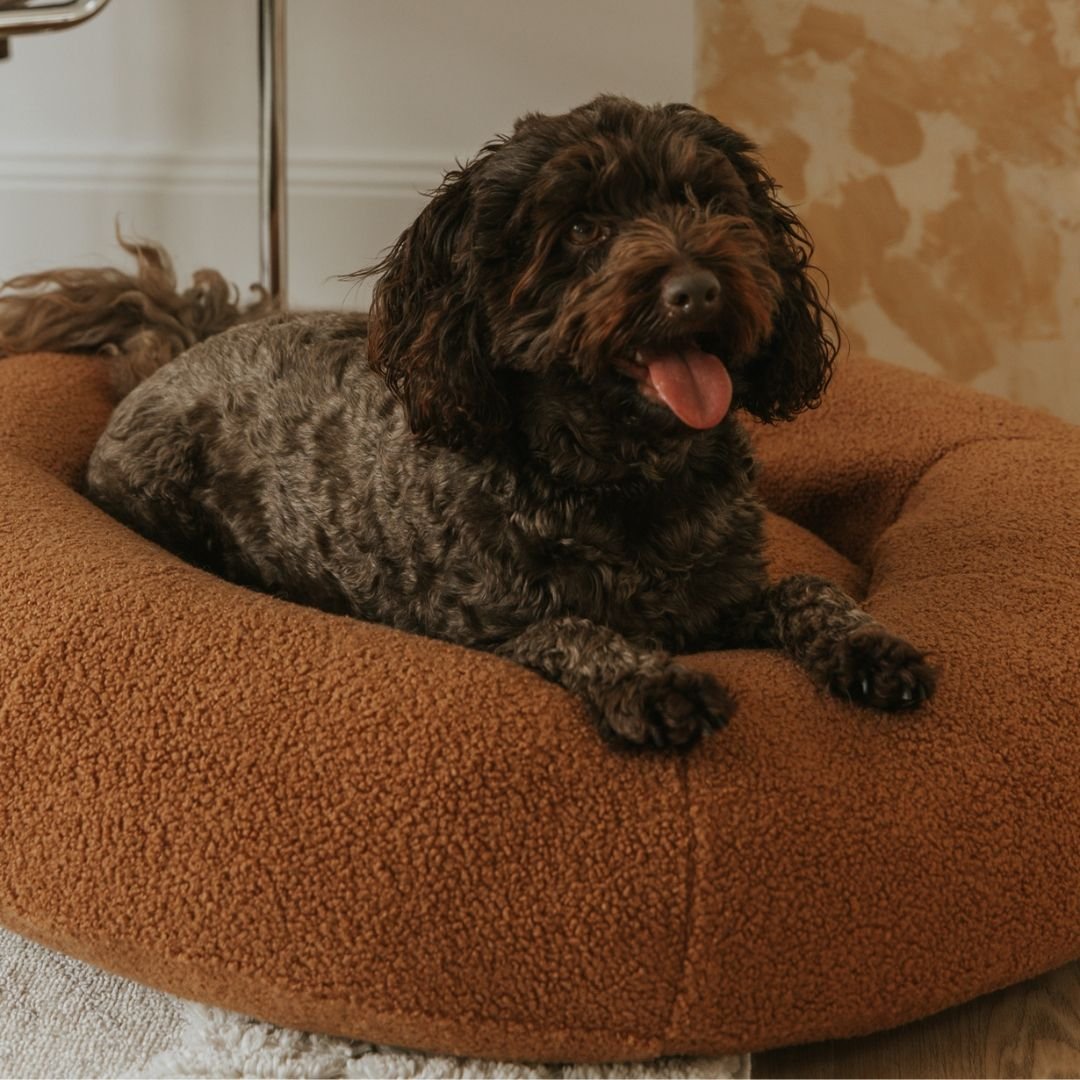 DogBeds-PremiumTeddy6.jpg