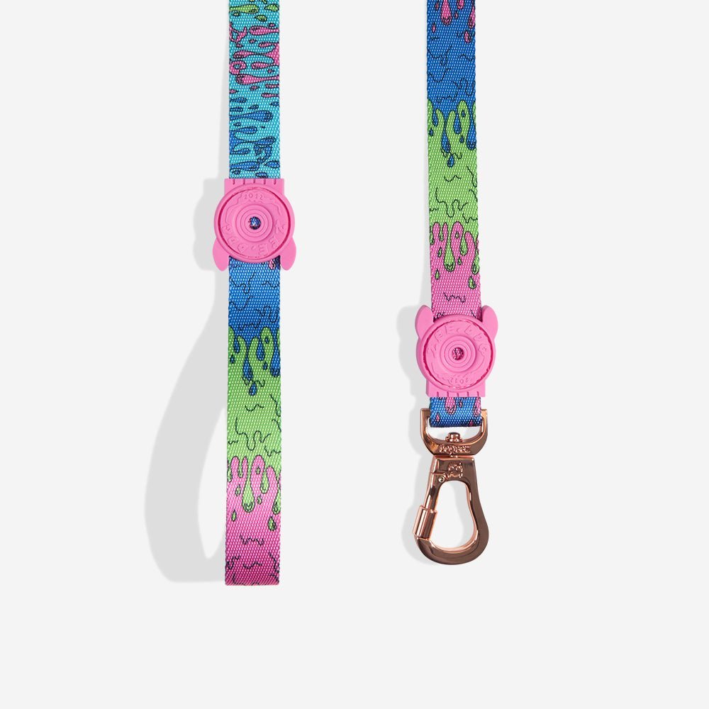 melted-leash-main-1.jpg