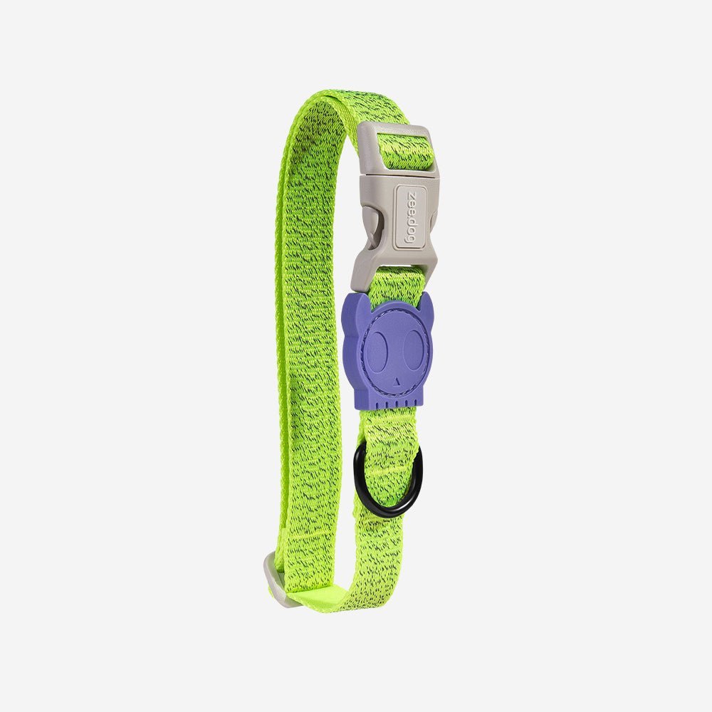 zeedog-dog-collar-nox-lumen_main-1.jpg
