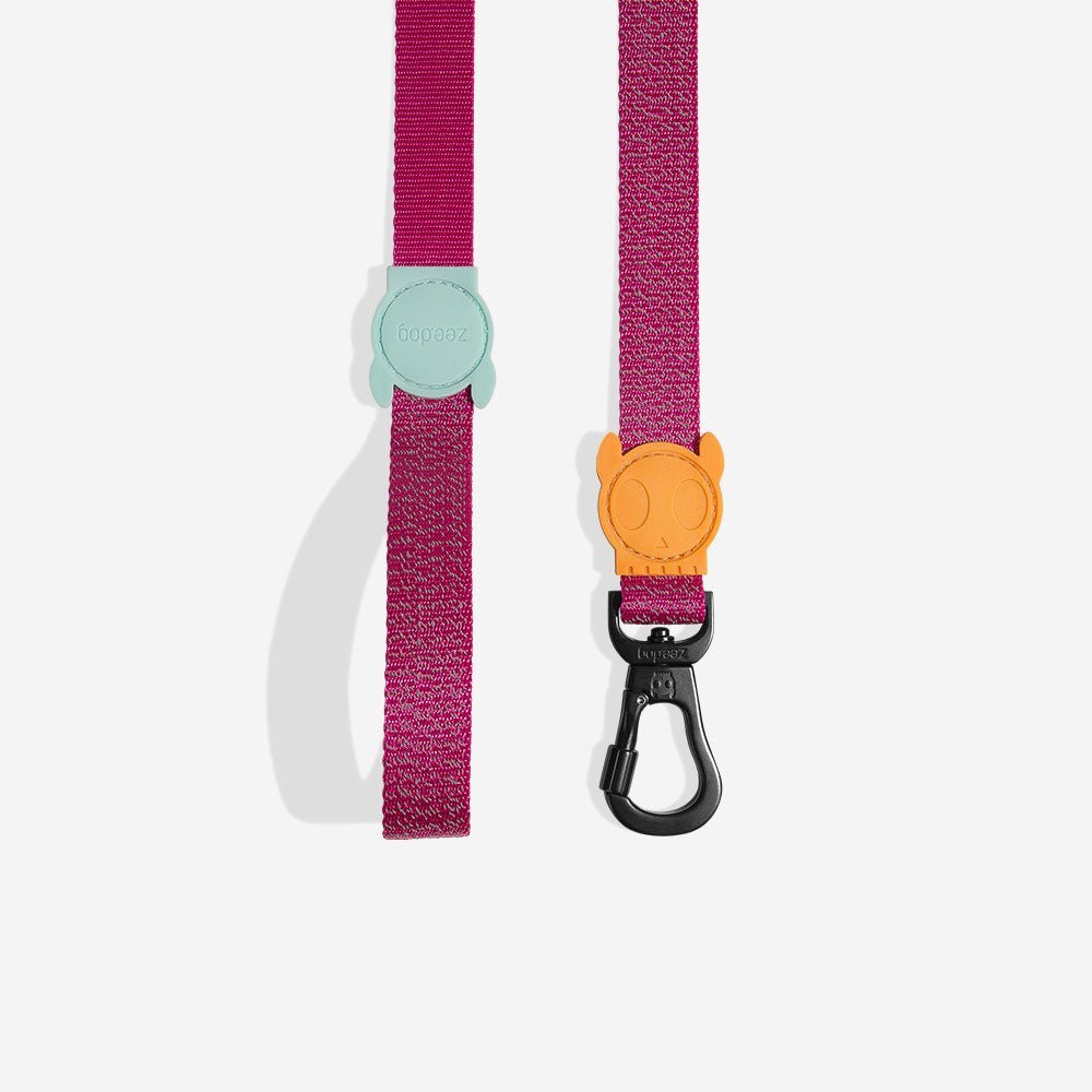zeedog-dog-leash-nox-sidus_main-1.jpg