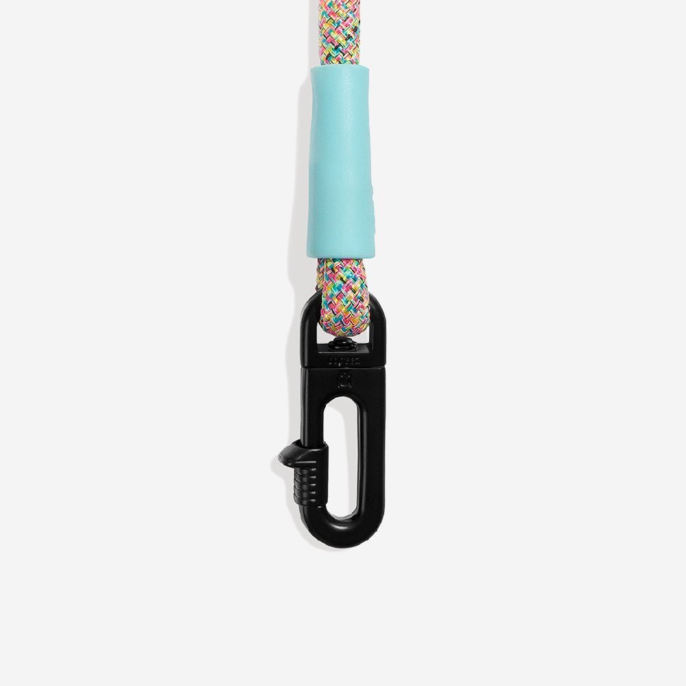 Gravity | FlexiWalk Leash