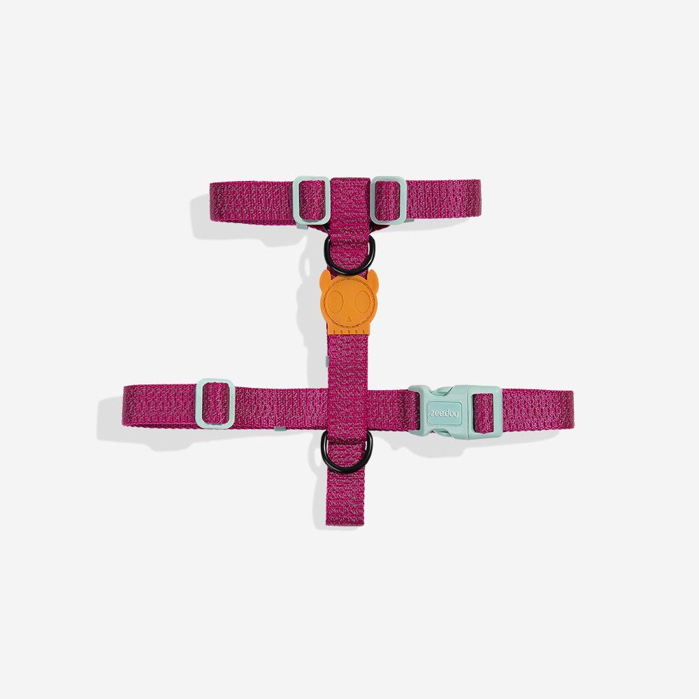 zeedog-h-harness-nox-sidus_main-1.jpg